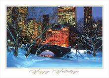 #8666<br>Bright Lights, Central ParkWinter Scene Greeting Card