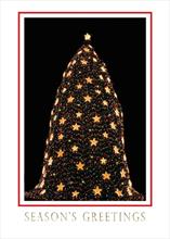 #4426<br>National Christmas Tree Washington, DC USAWashington DC Holiday Card